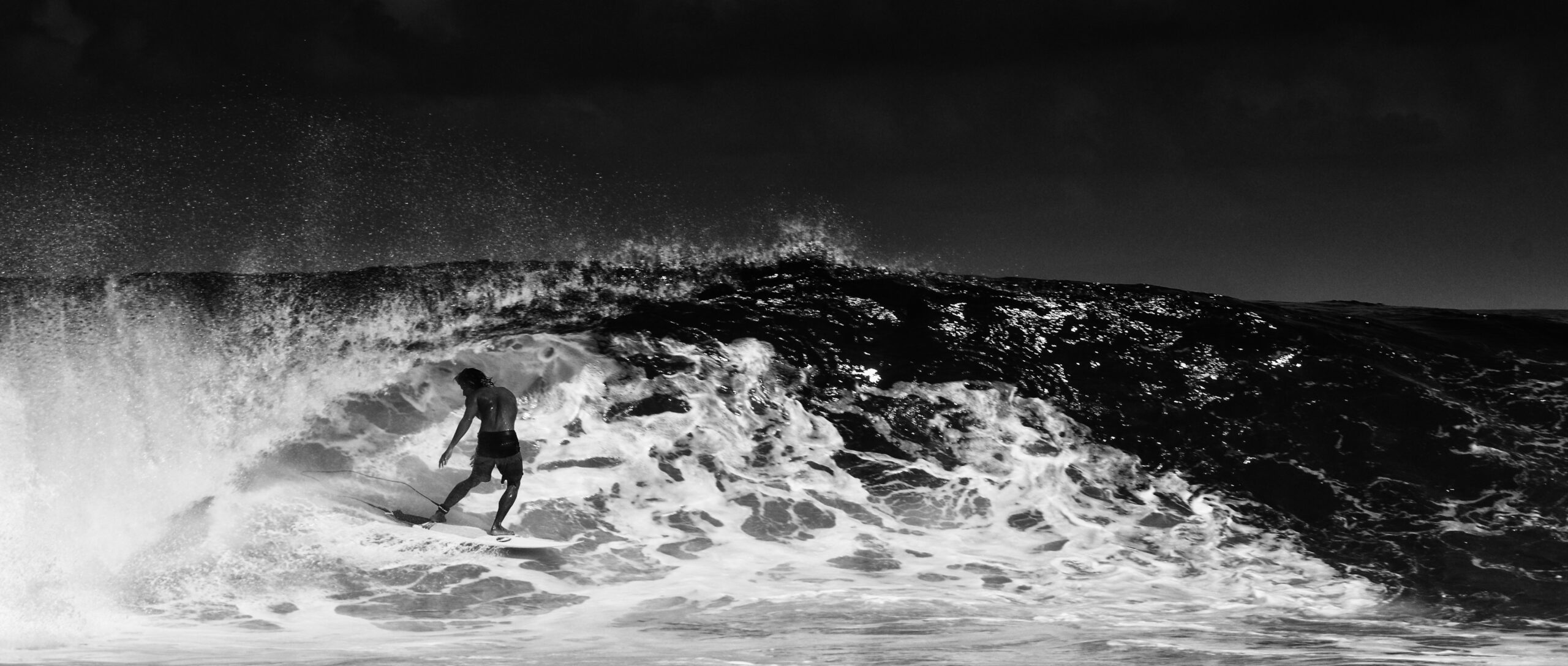 L&rsquo;ABEILLE QUI AIMAIT LA SURFWAX